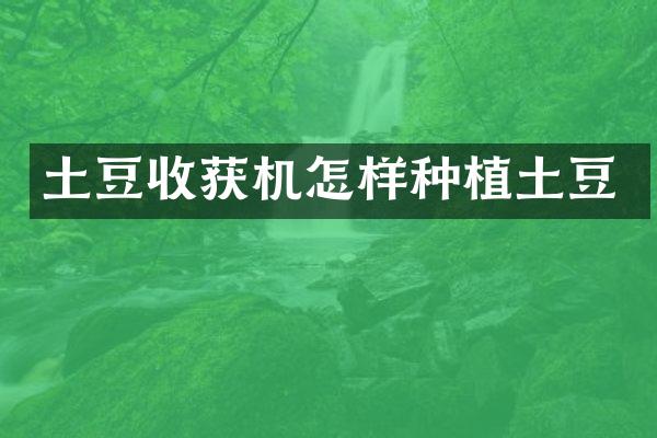 土豆收獲機(jī)怎樣種植土豆