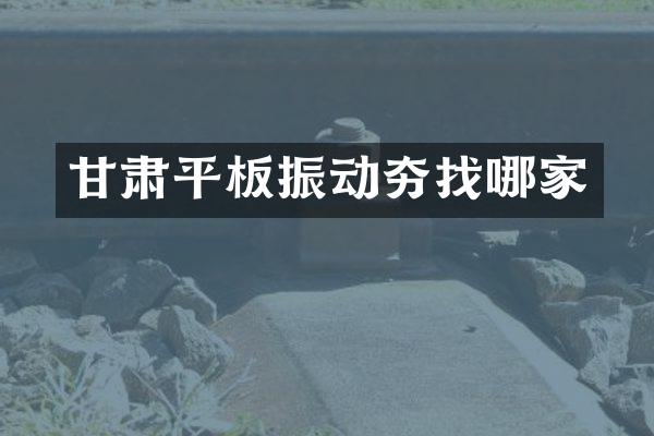 甘肅平板振動夯找哪家