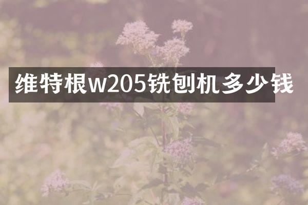 維特根w205銑刨機多少錢