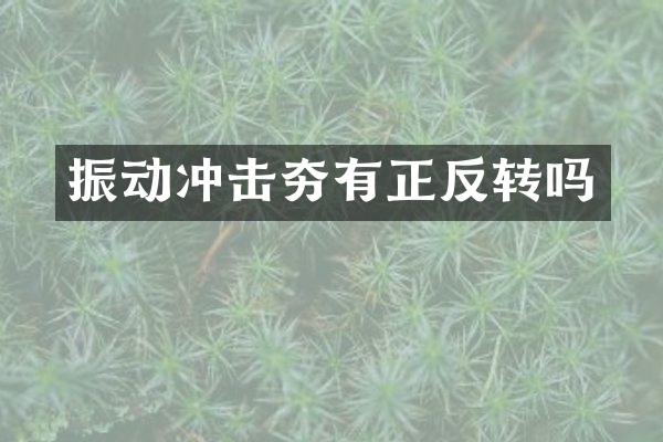 振動(dòng)沖擊夯有正反轉(zhuǎn)嗎