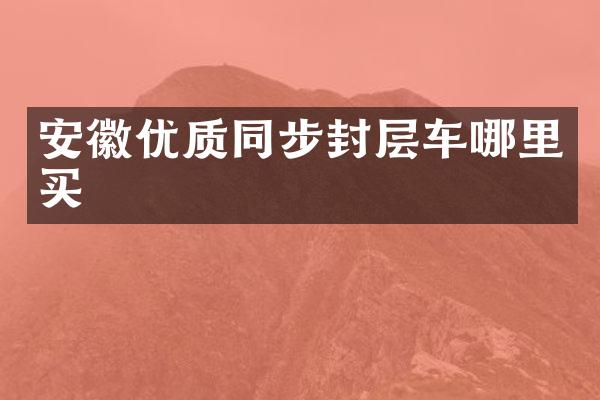 安徽優(yōu)質(zhì)同步封層車哪里買