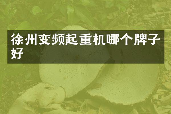 徐州變頻起重機哪個牌子好