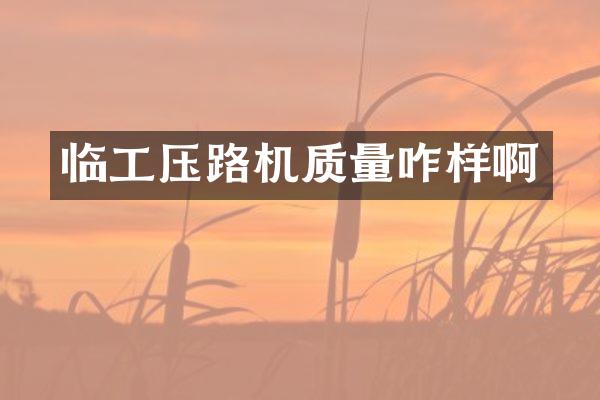 臨工壓路機質(zhì)量咋樣啊