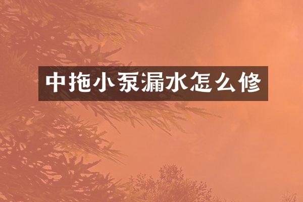 中拖小泵漏水怎么修