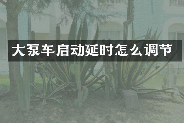 大泵車(chē)啟動(dòng)延時(shí)怎么調(diào)節(jié)