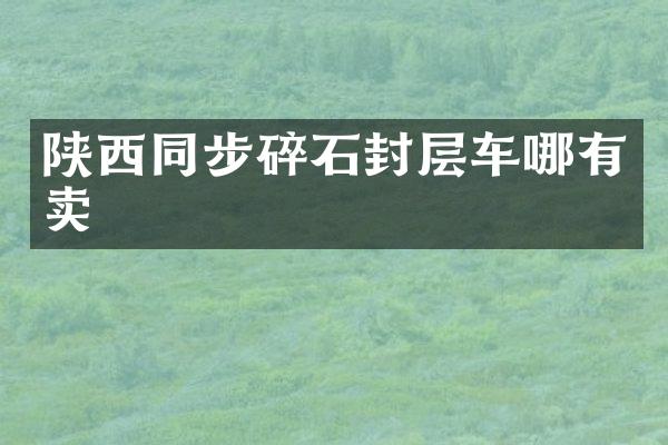 陜西同步碎石封層車哪有賣