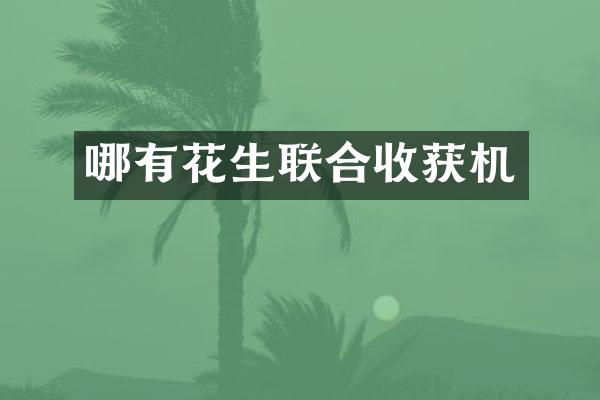 哪有花生聯(lián)合收獲機