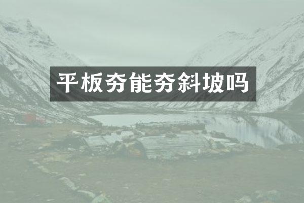 平板夯能夯斜坡嗎