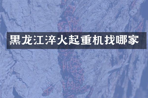 黑龍江淬火起重機找哪家