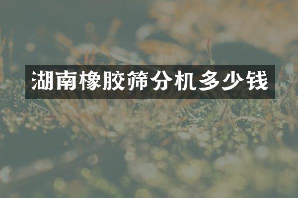 湖南橡胶筛分机多少钱