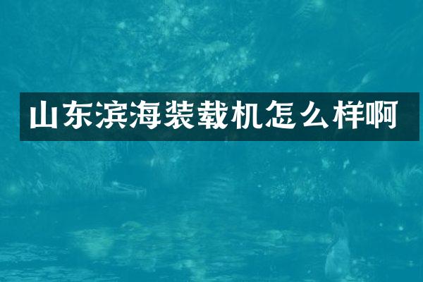 山東濱海裝載機怎么樣啊