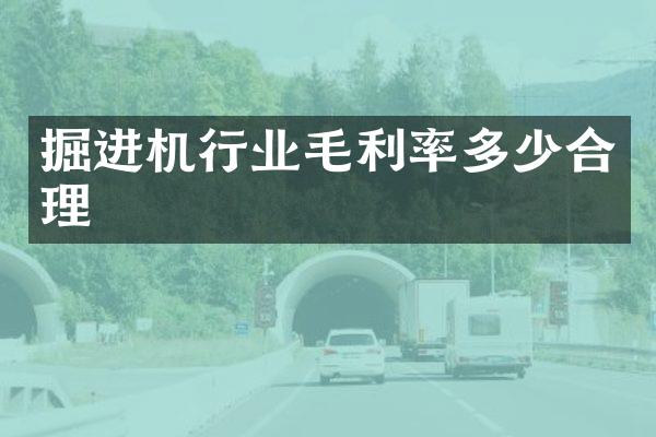 掘進(jìn)機(jī)行業(yè)毛利率多少合理