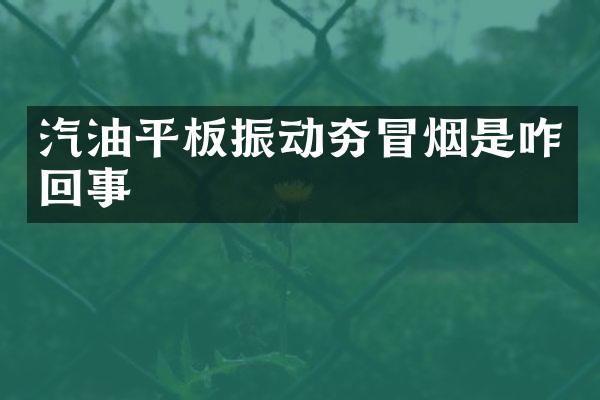 汽油平板振動(dòng)夯冒煙是咋回事