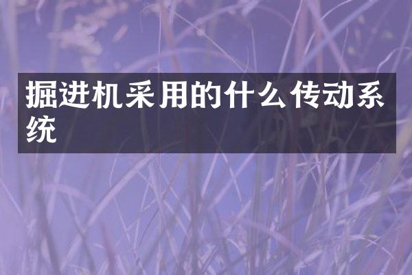 掘進(jìn)機(jī)采用的什么傳動系統(tǒng)