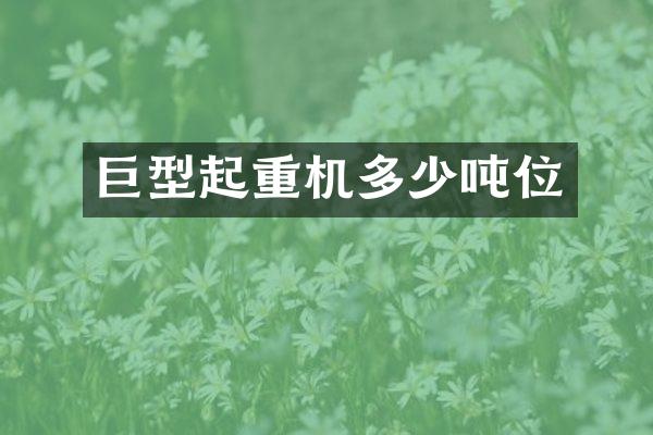 巨型起重機(jī)多少噸位