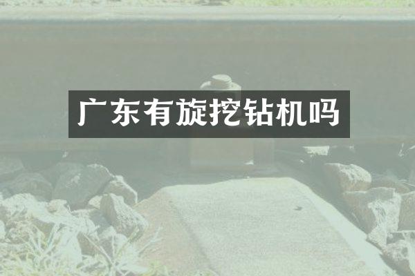 廣東有旋挖鉆機(jī)嗎