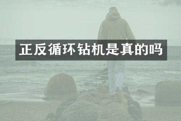 正反循環(huán)鉆機是真的嗎