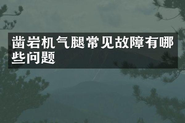 鑿巖機氣腿常見故障有哪些問題