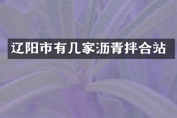 遼陽(yáng)市有幾家瀝青拌合站