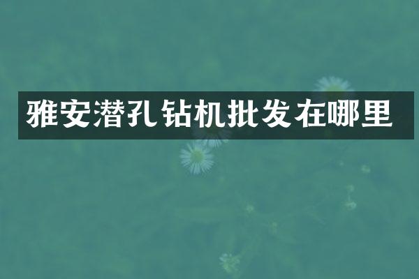 雅安潛孔鉆機批發(fā)在哪里