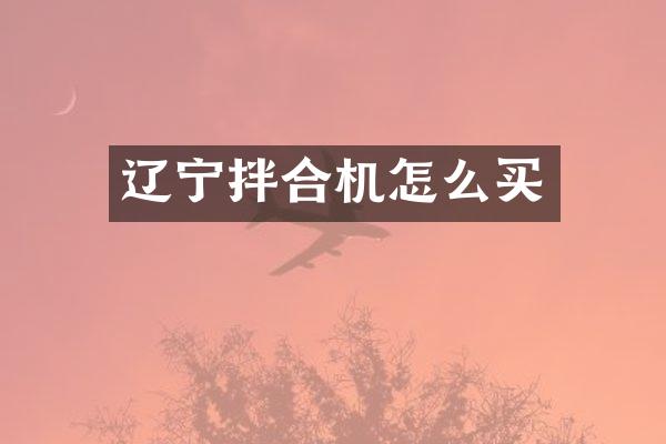 遼寧拌合機(jī)怎么買