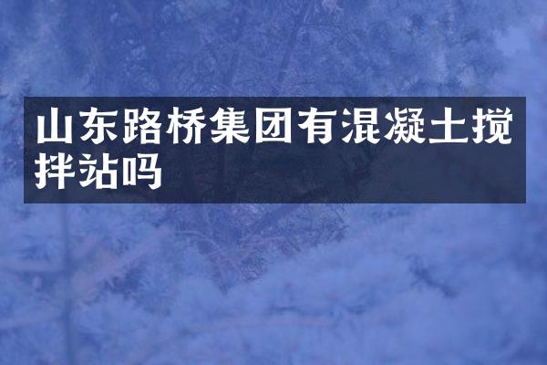 山東路橋集團(tuán)有混凝土攪拌站嗎