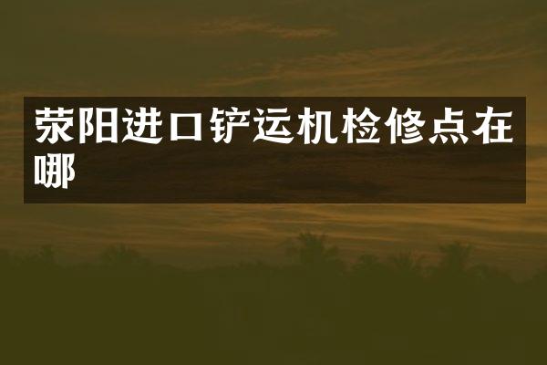 滎陽進(jìn)口鏟運(yùn)機(jī)檢修點(diǎn)在哪