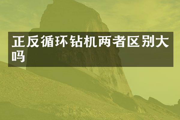 正反循環(huán)鉆機(jī)兩者區(qū)別大嗎