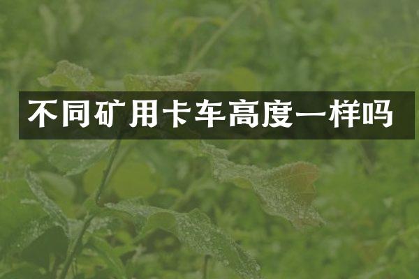 不同礦用卡車高度一樣嗎