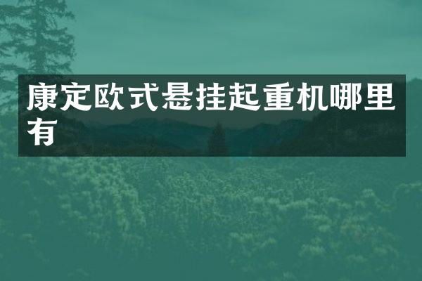 康定歐式懸掛起重機(jī)哪里有