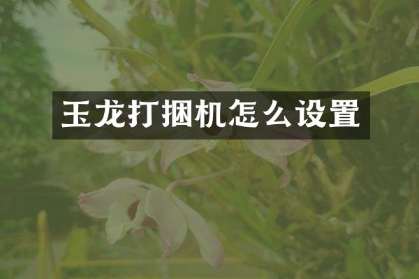 玉龍打捆機(jī)怎么設(shè)置