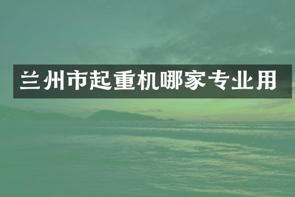 蘭州市起重機哪家專業(yè)用