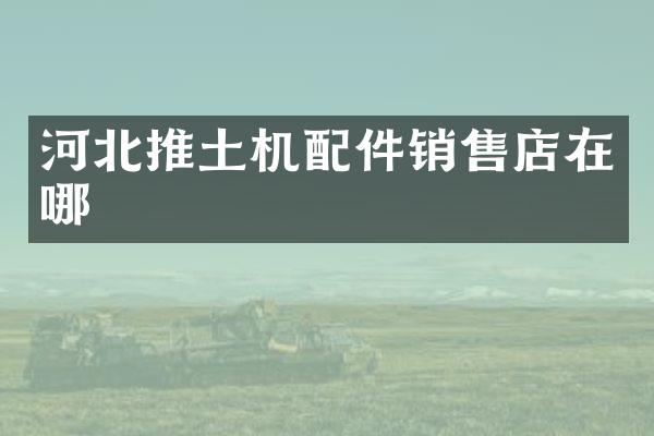 河北推土機(jī)配件銷售店在哪