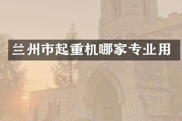 蘭州市起重機哪家專業(yè)用