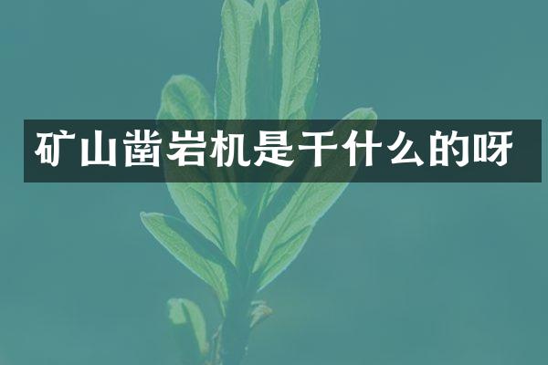 礦山鑿巖機是干什么的呀