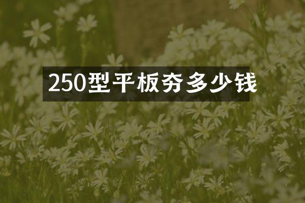 250型平板夯多少錢