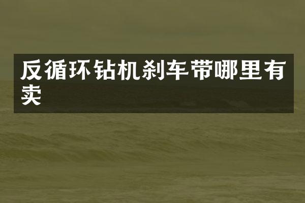 反循環(huán)鉆機剎車帶哪里有賣