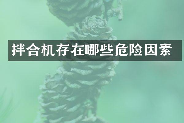 拌合機(jī)存在哪些危險(xiǎn)因素