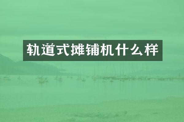 軌道式攤鋪機什么樣