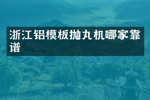 浙江鋁模板拋丸機哪家靠譜