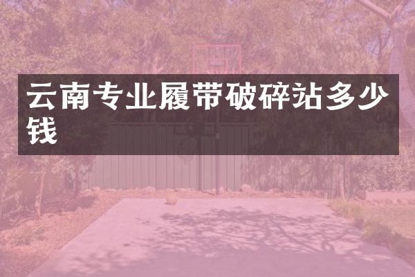 云南專業(yè)履帶破碎站多少錢