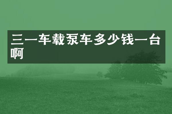 三一車(chē)載泵車(chē)多少錢(qián)一臺(tái)啊
