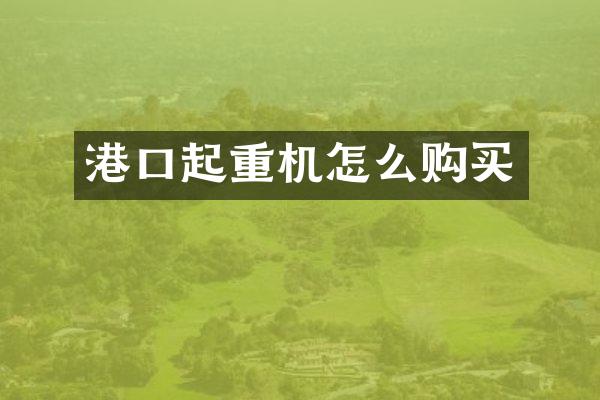 港口起重機怎么購買