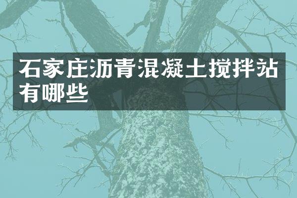 石家莊瀝青混凝土攪拌站有哪些