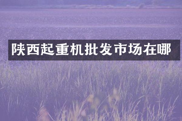 陜西起重機(jī)批發(fā)市場(chǎng)在哪