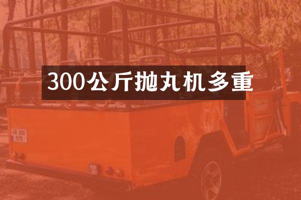 300公斤拋丸機多重