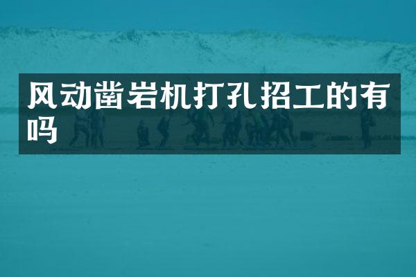 風(fēng)動鑿巖機打孔招工的有嗎