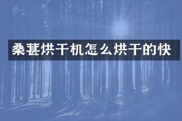 桑葚烘干機(jī)怎么烘干的快