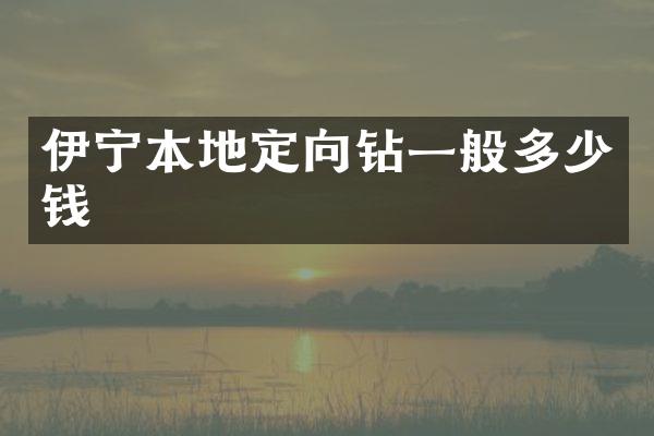 伊寧本地定向鉆一般多少錢