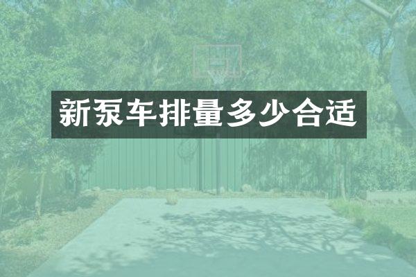 新泵车排量多少合适